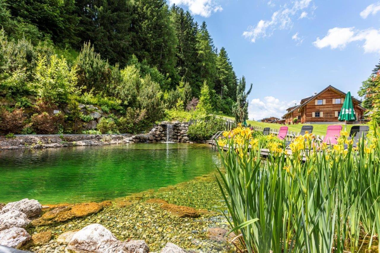 Huettendorf Schladming Extérieur photo