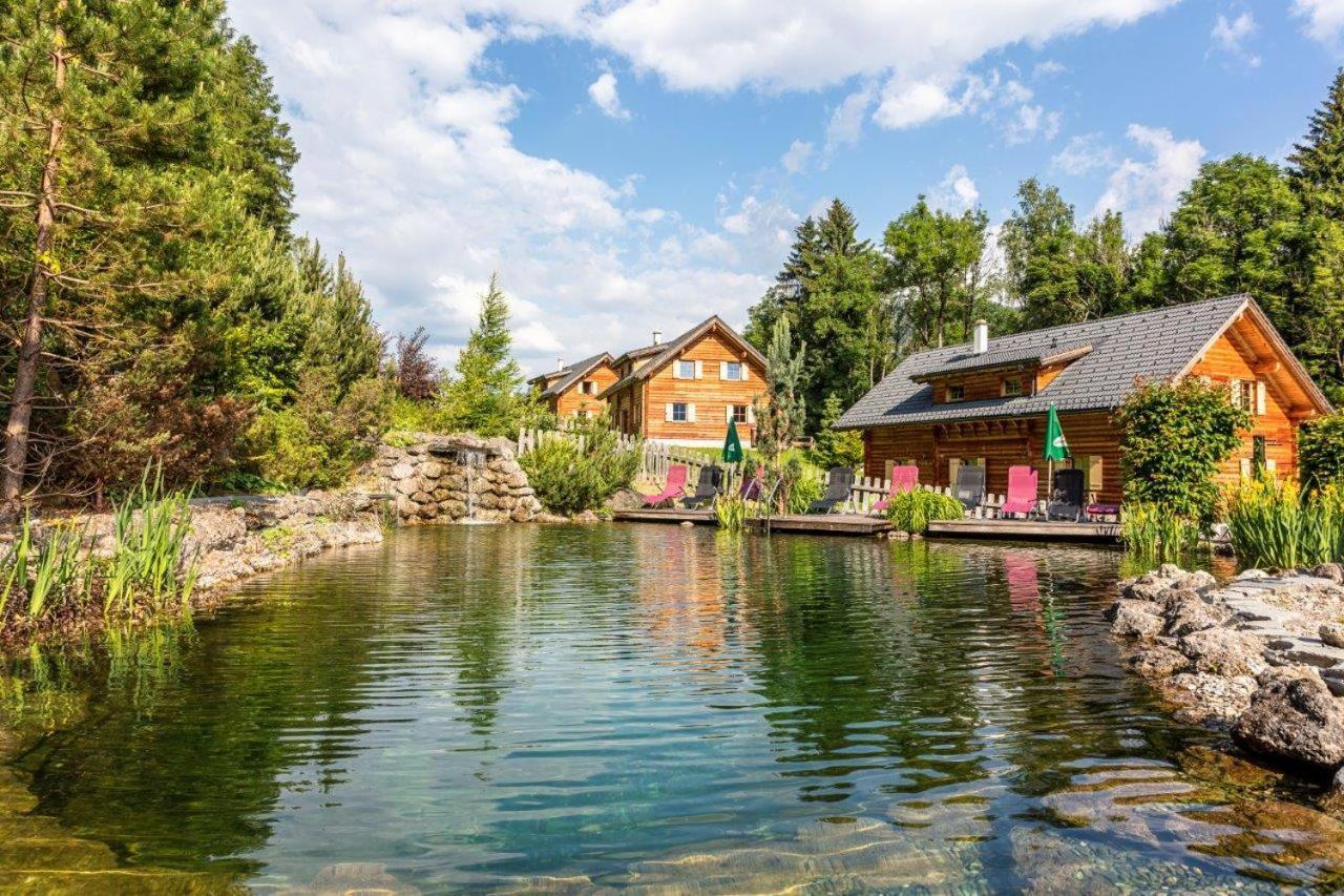 Huettendorf Schladming Extérieur photo
